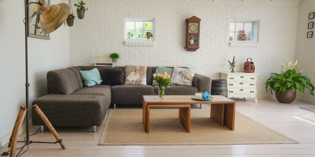 Professional upholstery cleaning